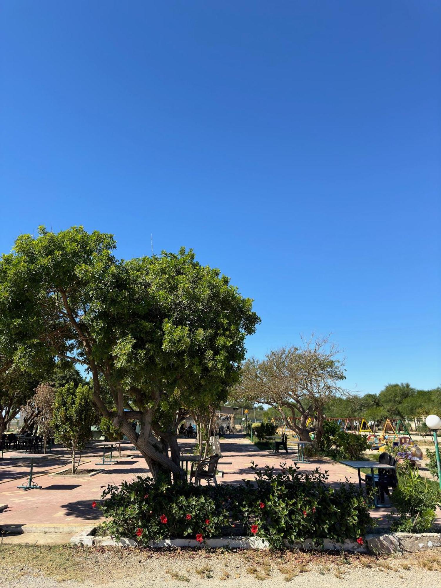 Camping Nature & Mer Tahadart - Bungalows Briech Екстериор снимка